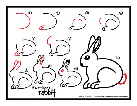 how do you draw a rabbit step by step